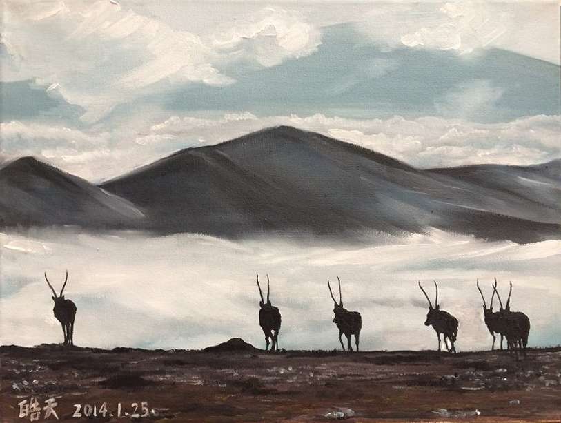 谭皓天油画作品