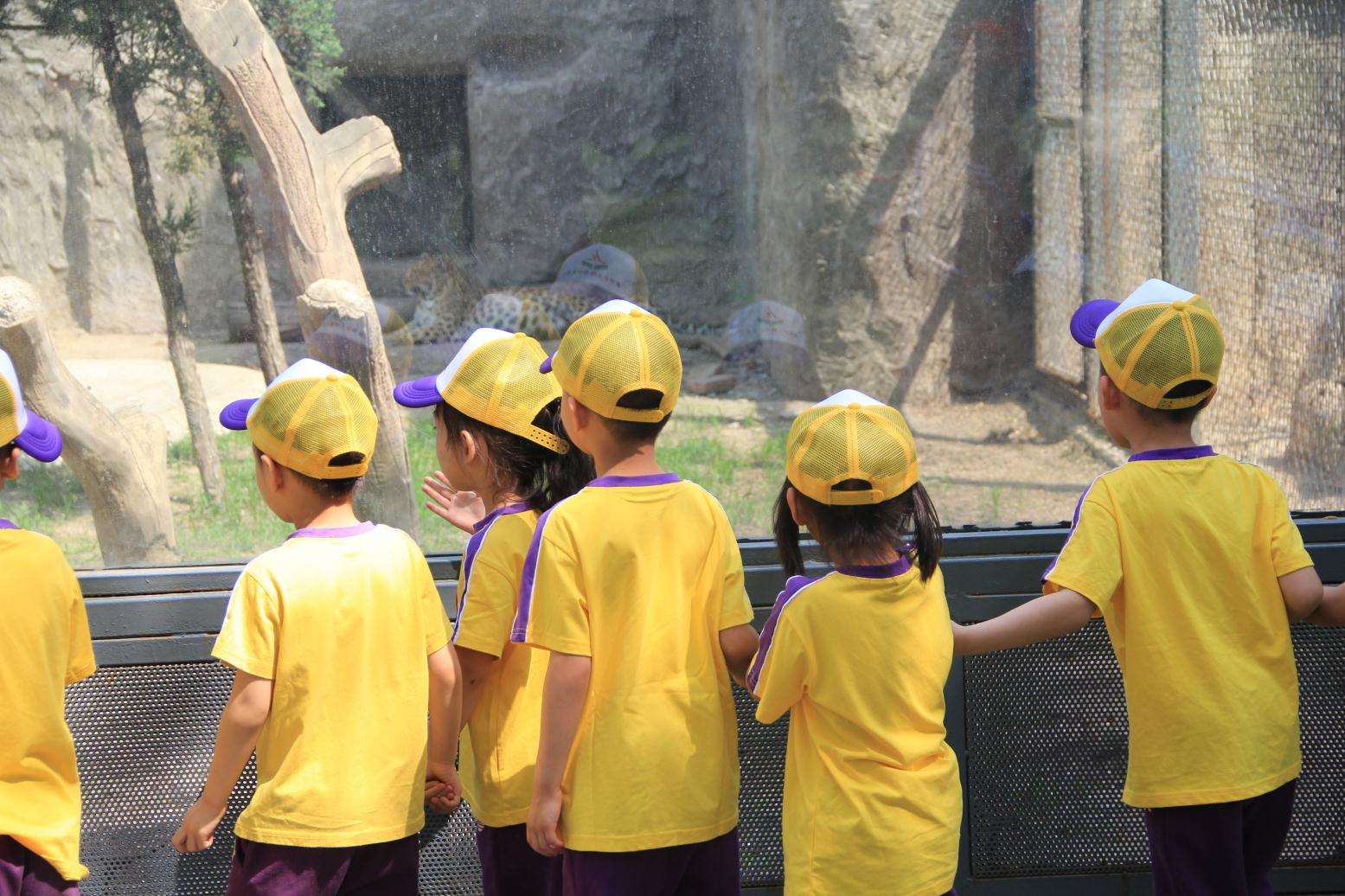 动植物公园游玩