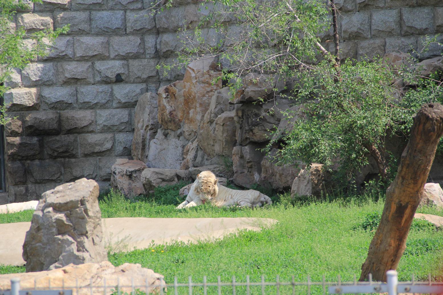 动植物公园游玩