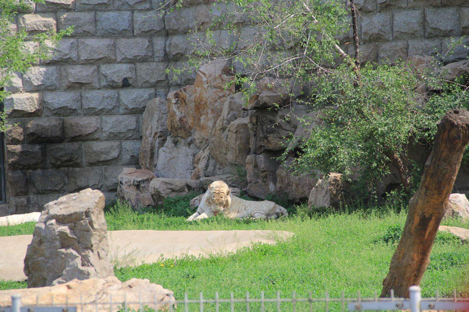 动植物公园游玩