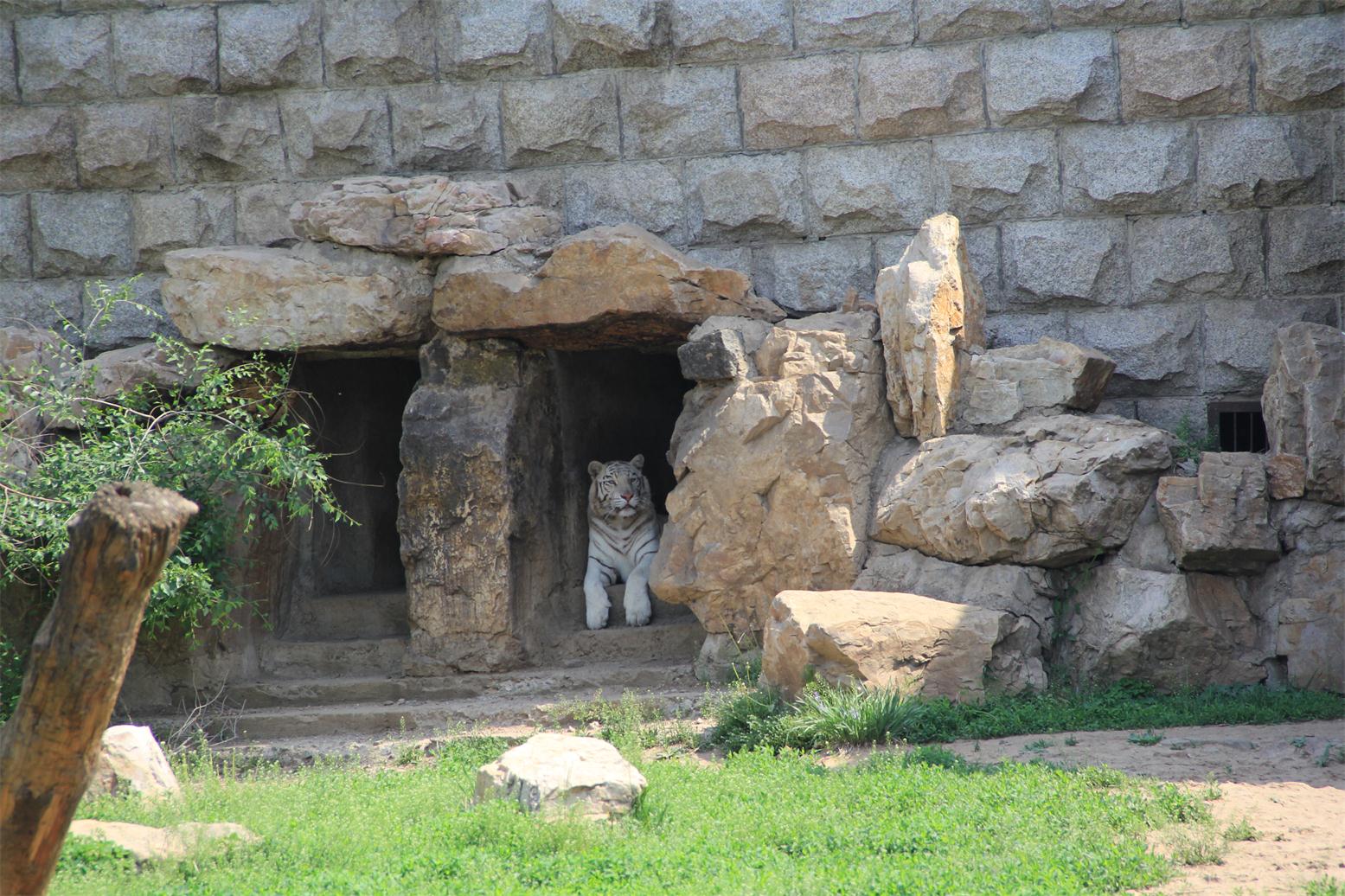 动植物公园游玩