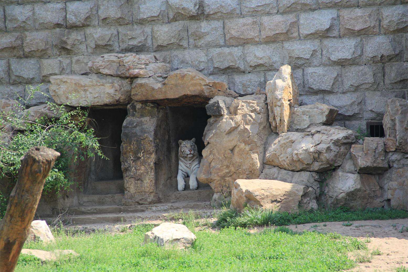 动植物公园游玩