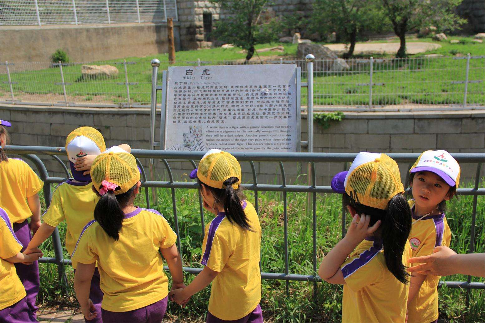 动植物公园游玩