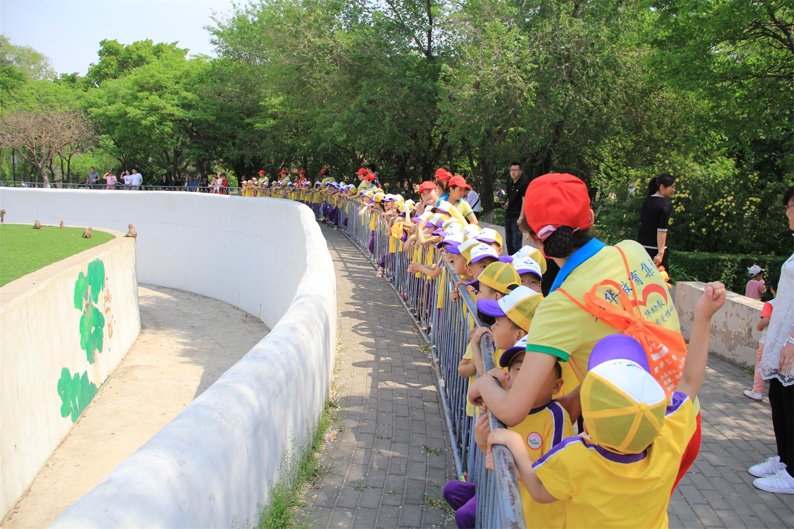 动植物公园游玩